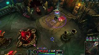 海斗最有意思的玩伴