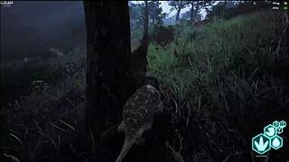 随便玩玩(早10点）