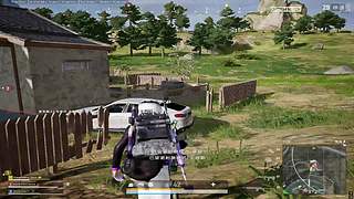 inb杯s2狂野动物园