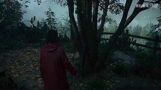 恐怖游戏dark师的录像