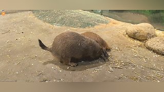 武汉见~27号户外直播唷~~~