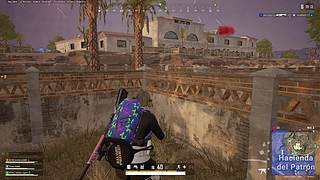 鸡是一吃吃不着