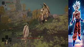 八蛋陪伴，搞笑不断