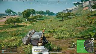 inb杯s2狂野动物园