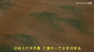 【悬疑】午夜惊悚乐园，点上关注带你探险！