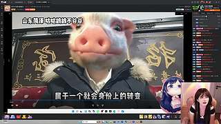 【小奶团】大王八周年快乐！