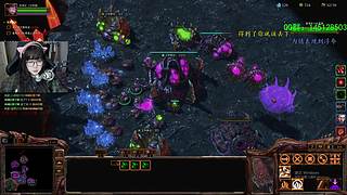 打合作咯！！！ 3020472