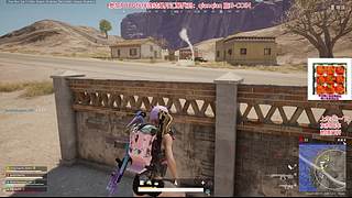 漫天的我落在樱花树下