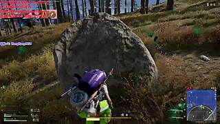 轰轰：每天下午三点不见不散！