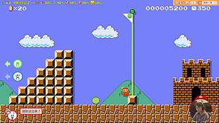 我可能玩了假的马里奥