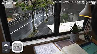 重生之奋发涂墙