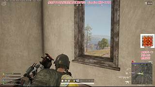 漫天的我落在樱花树下