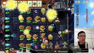 β版植物大战僵尸