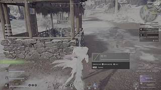 坑死队友 不偿命