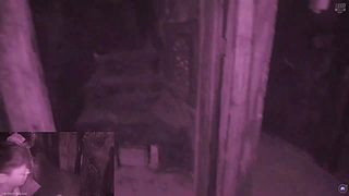 双倍亲密度-顺势而为，戒骄戒躁，保持初心