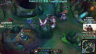 【PIGFF】6点驴酱杯定级