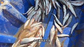 武汉见~27号户外直播唷~~~