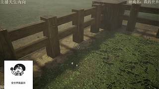 电影级画质，失眠者福音~