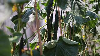 华子的超赞手抓牛排，来看看！