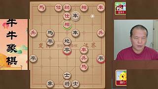 牛牛象棋的直播间