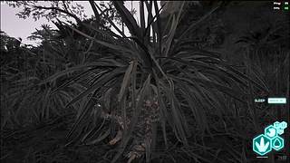 随便玩玩(早10点）