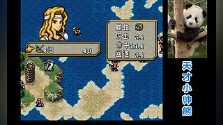 天才小帅熊的直播间