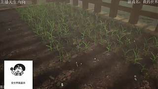 电影级画质，失眠者福音~