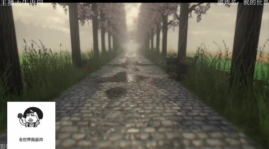 电影级画质，失眠者福音~