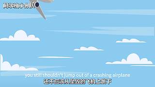 阿尔法小分队的最新视频