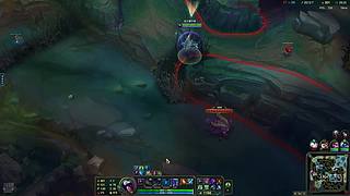 场均20杀把把游龙