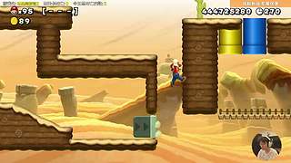 我可能玩了假的马里奥