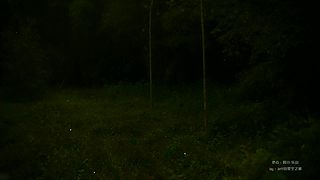 一起看英仙座流星雨