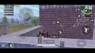 小白多多关照 9164531