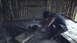 东南亚丛林生活实录