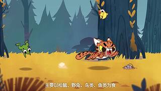 摩登大自然开播哦