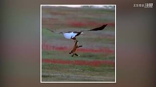 王生怪谈奇闻怪事