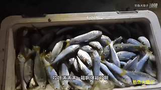 感谢钓友关注，每天分享鱼乐