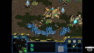 星际老菜鸟，绝色直播间