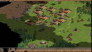 东晓罗马直播专用