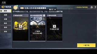 使命召唤排位团队竞技一起玩