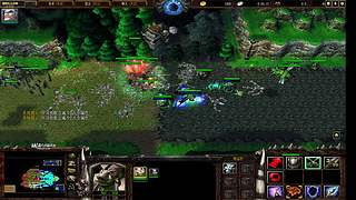 打不死的小强 1160065