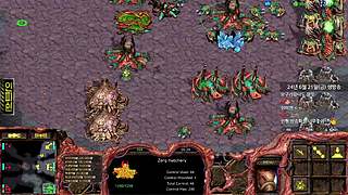 勇哥、出汗宏图建议