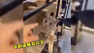 唉呀妈呀！笑抽抽了！