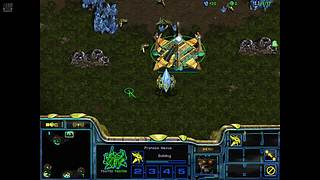 鱼缸里的沙子的直播间