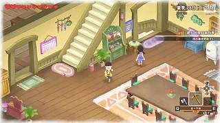 各类单机随机播