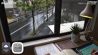 重生之奋发涂墙