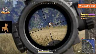 【小白鸽】保卫萝卜杂交版！