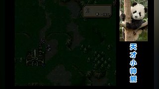 天才小帅熊的直播间