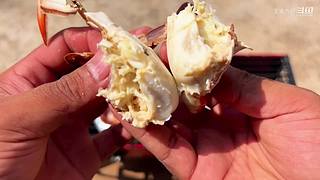 大齐赶海，又是出大货的一天