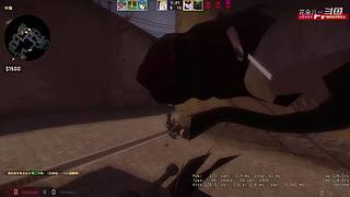 我玩的可能是假游戏T.T